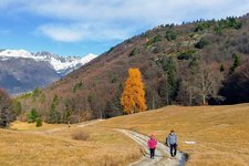 sentiero per malga san giovanni al monte autunno
